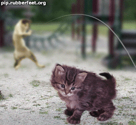 chof bache madeb9achi ka3i